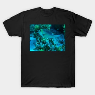 Reef Fish T-Shirt